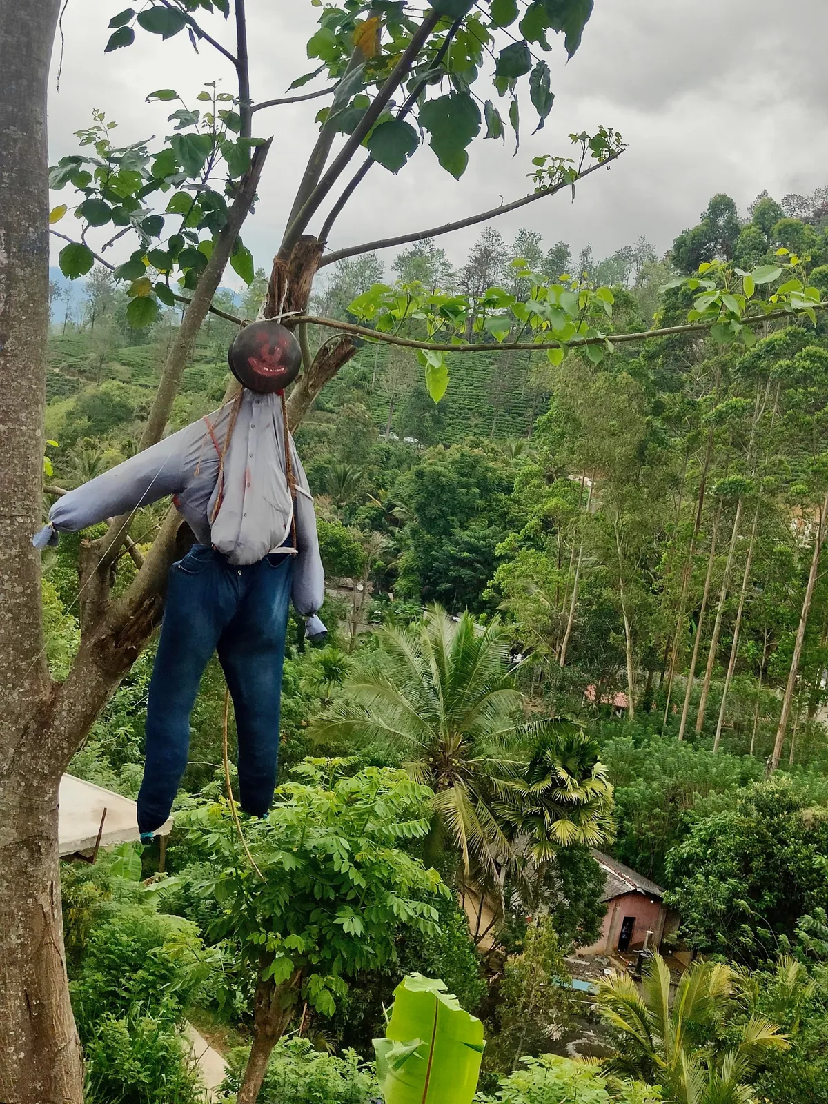 Sri Lanka : sun, tuk-tuks and mild disappointments.