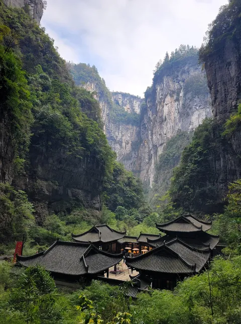 A Winter Visit Around China (Guangzhou, Chongqing, Shanghai, Zhengzhou)