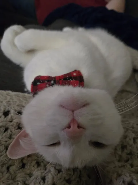 Goodbye my little man </3