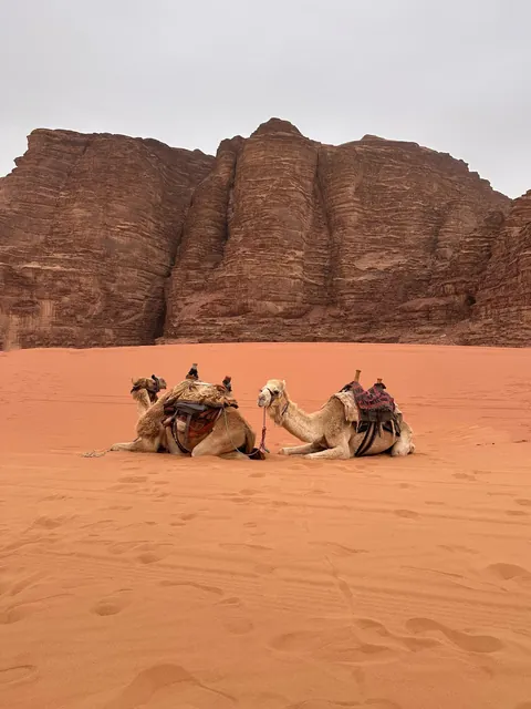 A Week in Jordan 🇯🇴