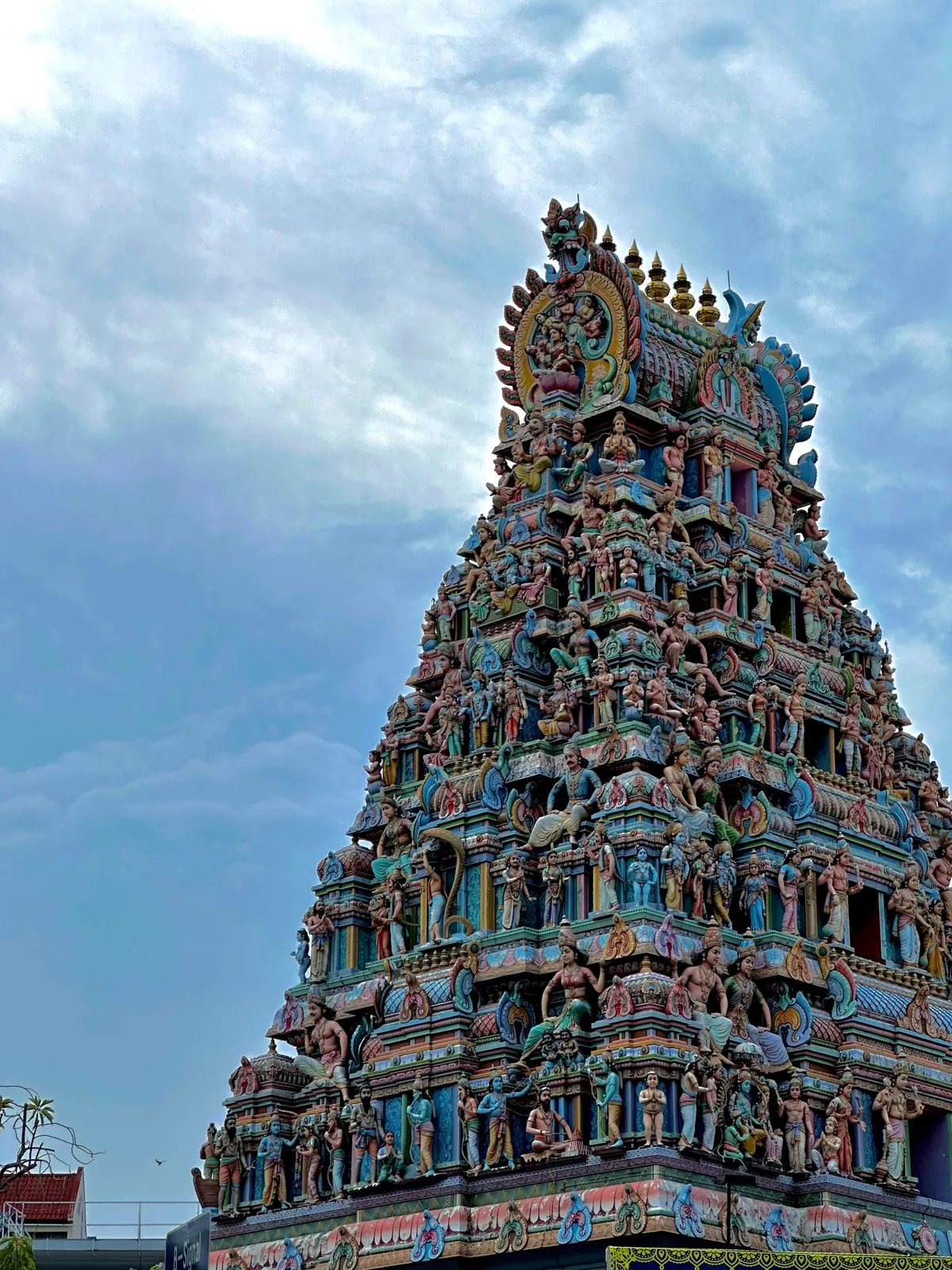 Brilliant but hard to get to know- Singapore 5-day trip