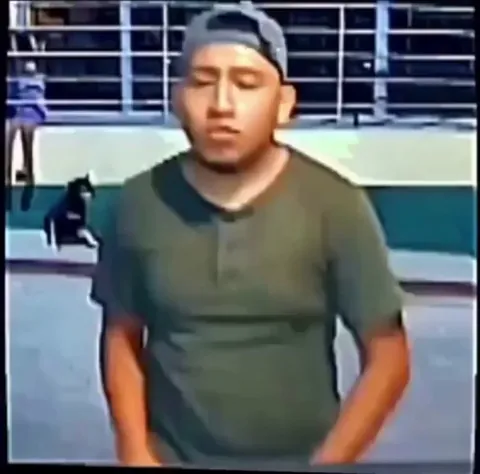 One thing led to another