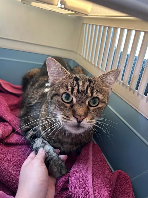 His first trip and his last one