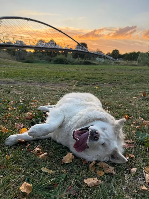 Just my blind girl enjoying life