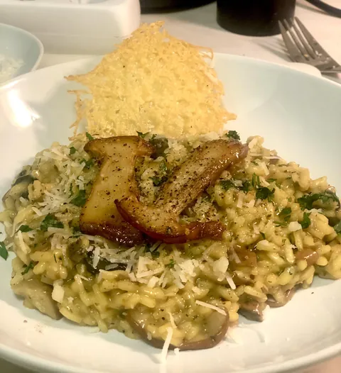 [Homemade] Wild Mushroom Risotto - Using mushrooms found in the forest outside my house.