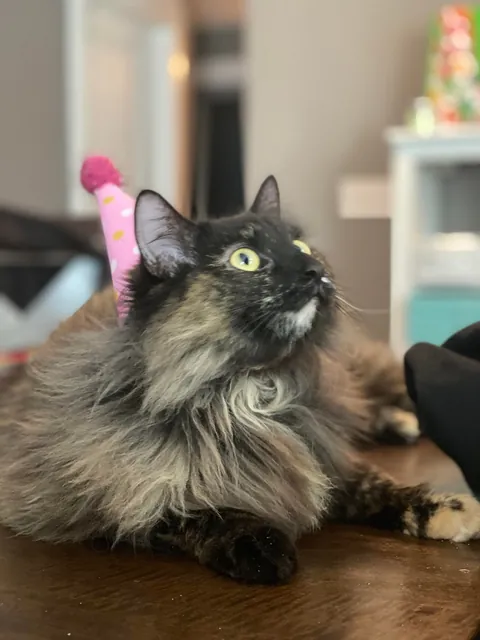 Need some prayers for my girl