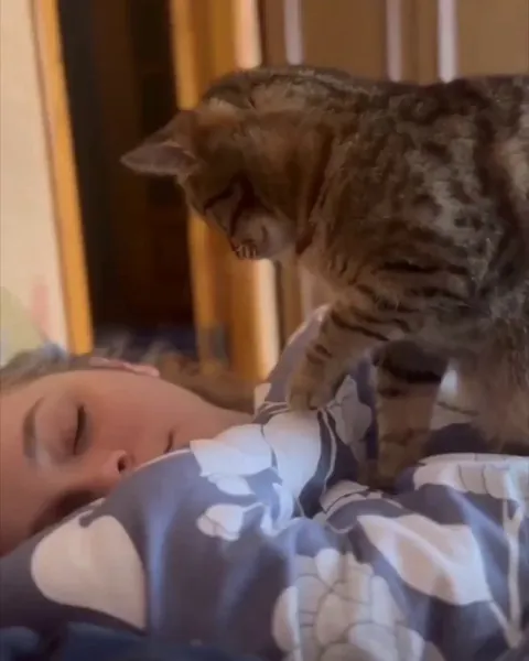 The Purrfect Alarm Clock ⏰🥰