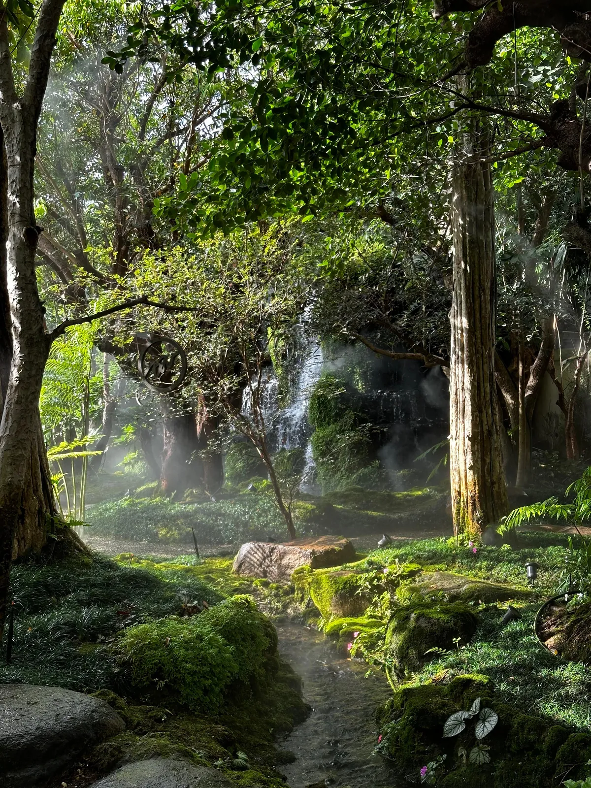 5 Days in Chiang Mai reflection. Slower Pace + Crisp Air + omg Khao Soi (curry noodle soup)