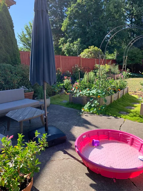 When the Airbnb say there’s a garden side pool and you show up to this