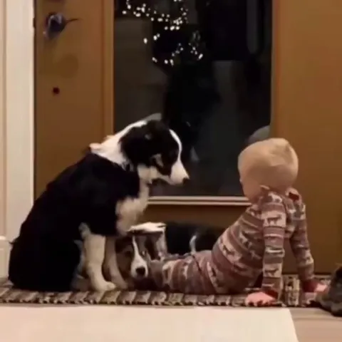 This is so calm and comforting