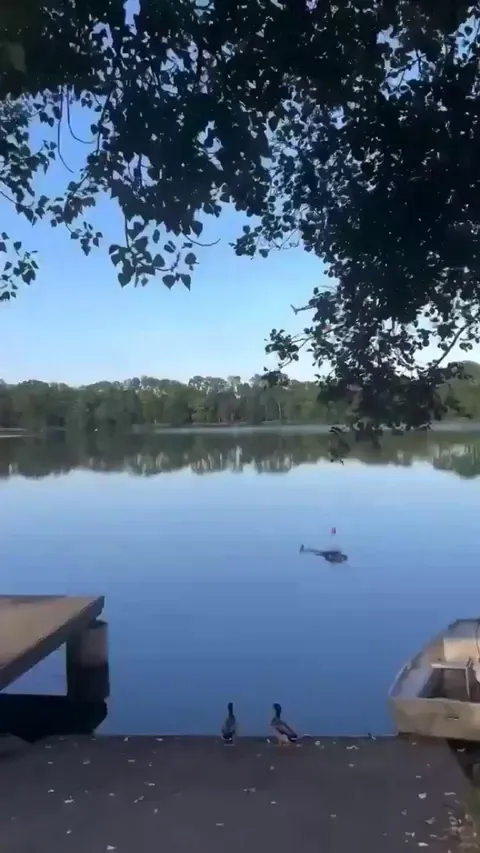 Footage of a helicopter crash in Bretagne, France. Both aboard survived. The H125 Écureuil was operated by local firefighters, and the accident happened while refilling a water bucket.