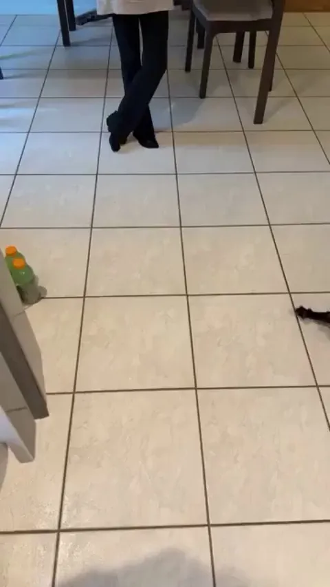 What should we call this poses ?