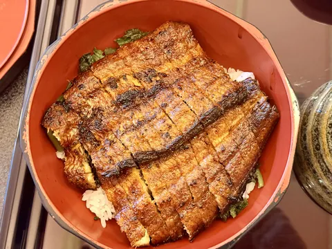 Unagi don from Nishio, Japan [OC]