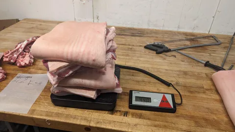 My friend is a butcher. She sent me a visual representation of the weight ive lost recently in pork belly form