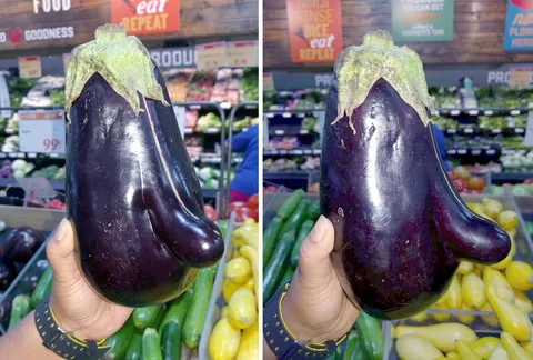 This eggplant that looks like a cartoon Richard Nixon