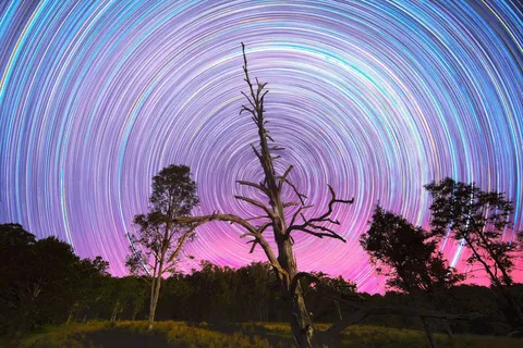 🔥 This star trail image I took on my farm in Australia got photobombed by the Aurora Australis