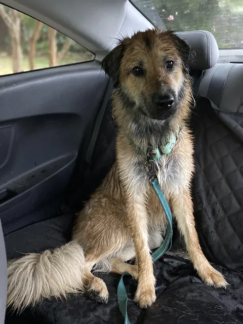 Lookin a lil pathetic after we got rained on