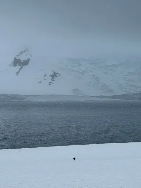 Otherworldly photos from recent trip to Antarctica!