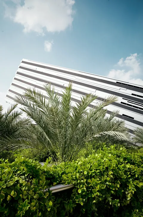 Minimalism of EXPO City Dubai