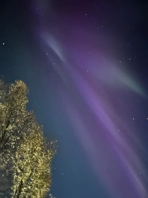 🔥 View of the northern lights from my house in Alaska last night! 🔥