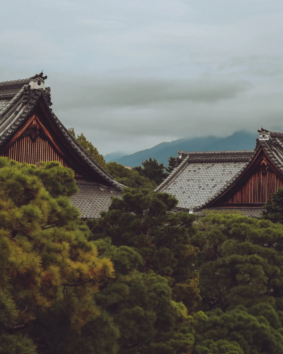 An incredible two weeks in Japan!