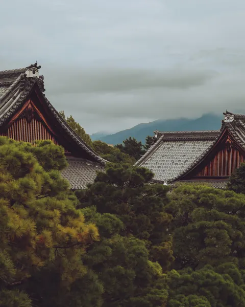 An incredible two weeks in Japan!