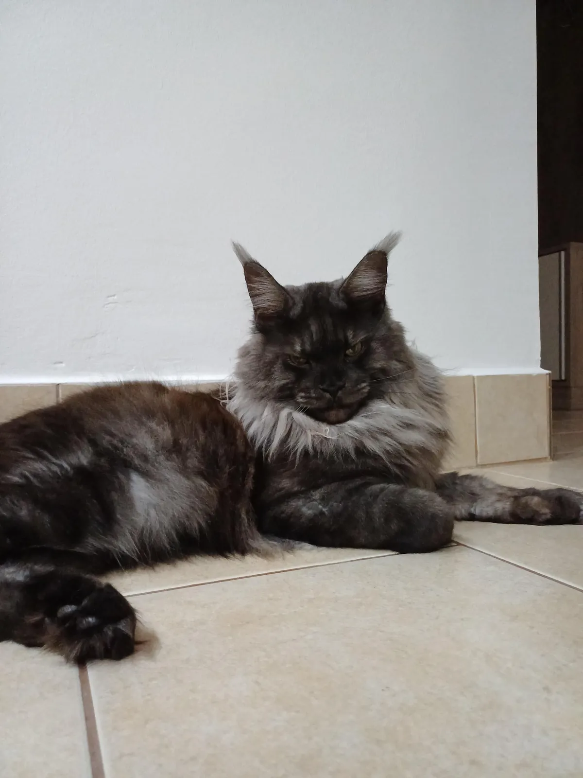 Hi reddit, it's Théoden. Did not see you for a long time