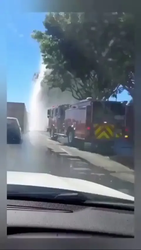 You Better Keep Your Windows Rolled Up Tight