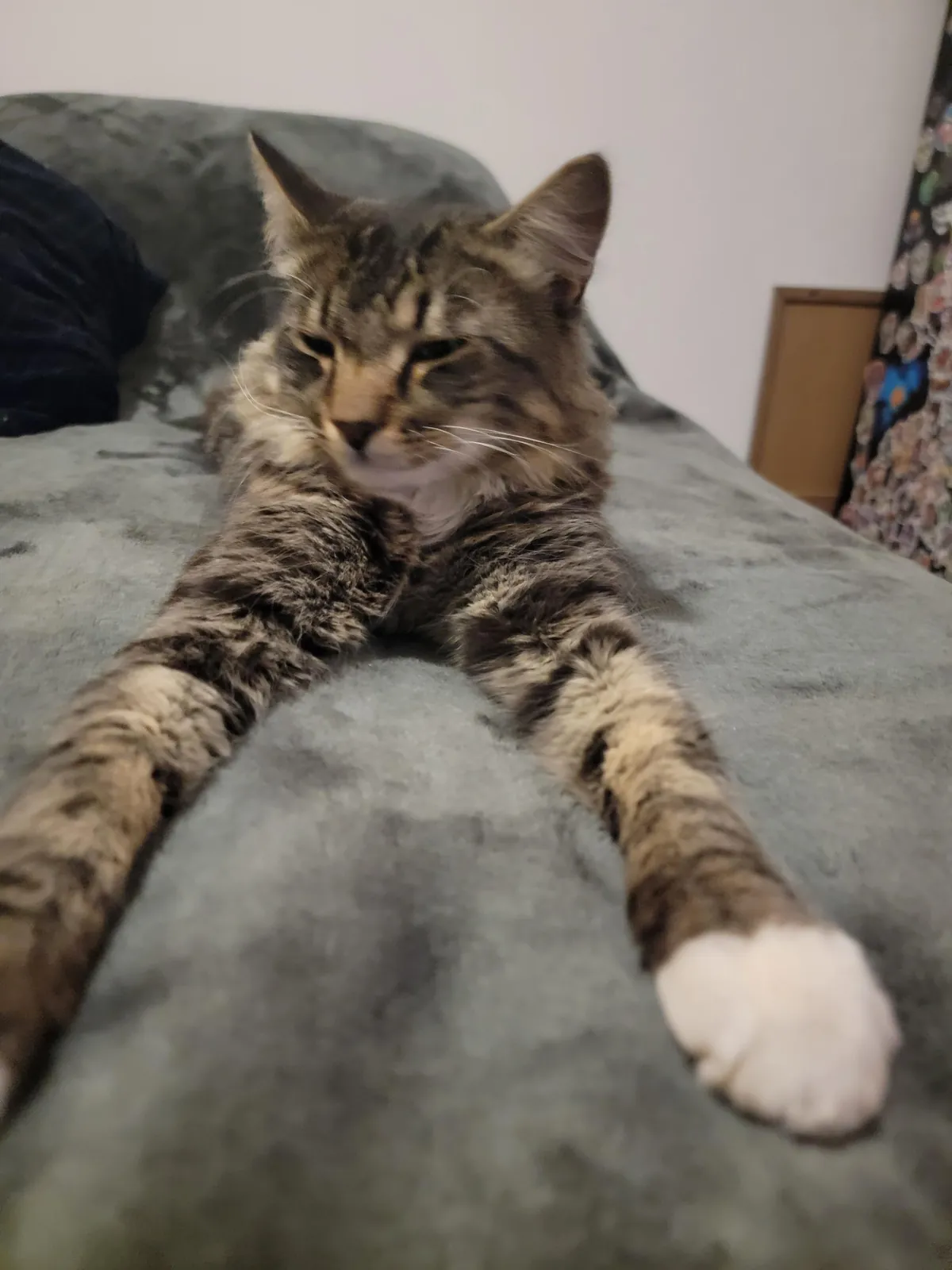 Hi everyone my name is soxx😍💕😸