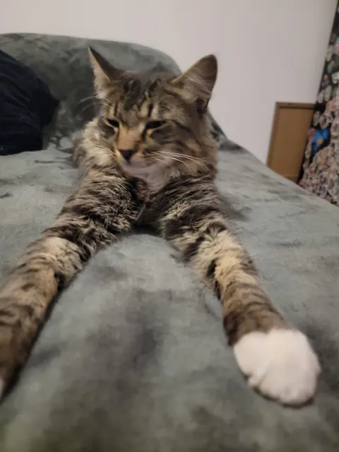 Hi everyone my name is soxx😍💕😸