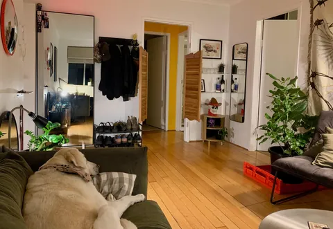 Starting to feel comfy after 7 months in the new place