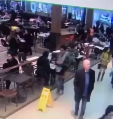 Society explained in 29 seconds