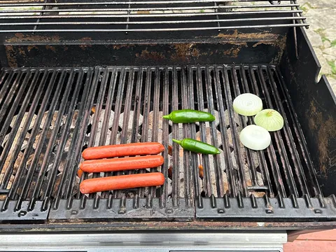 [homemade] onion dogs