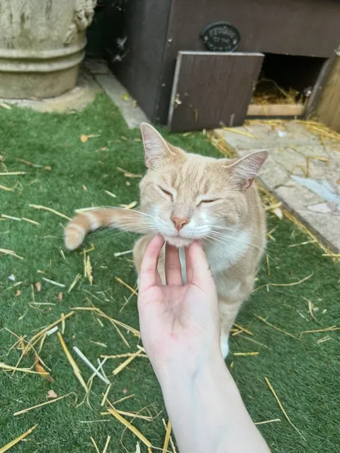 can everyone show me who my Eddie boy is in heaven with ?