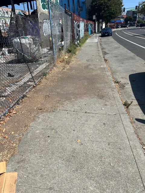 [OC] A lot of trash was on the sidewalk, forcing people onto the road. So I cleaned it.