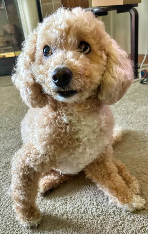 Who sits like this…