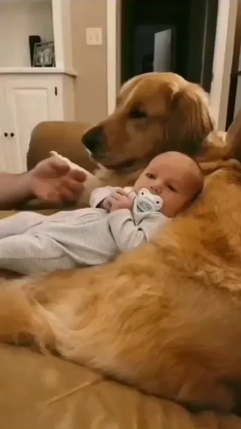 Let the expert take care of this