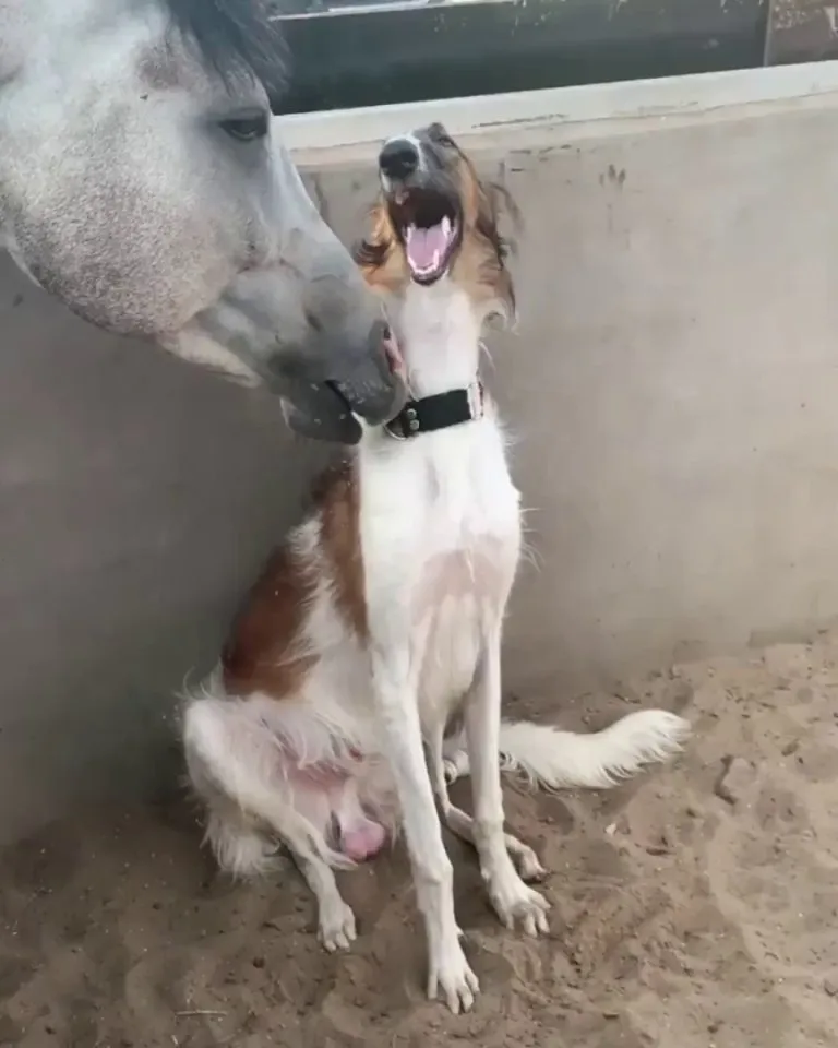 Oh yeah, that's the spot