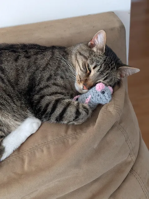My daughter crocheted her cat a stuffy