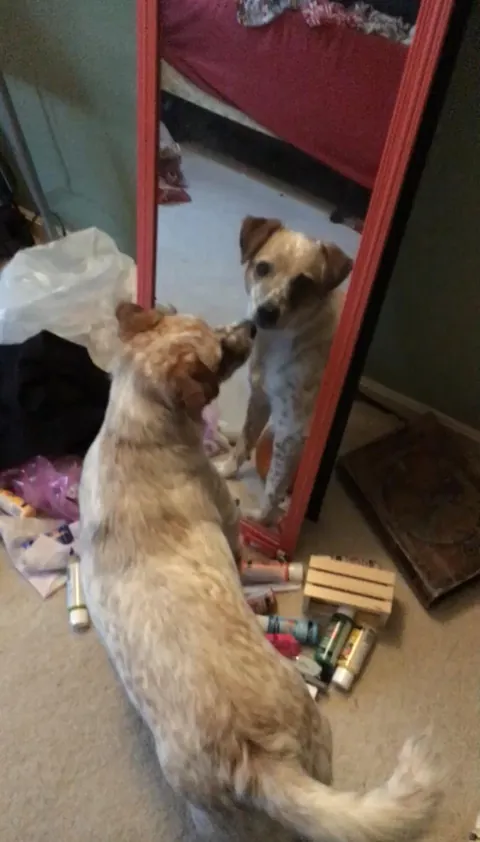 More pictures of Chief being unapologetically himself