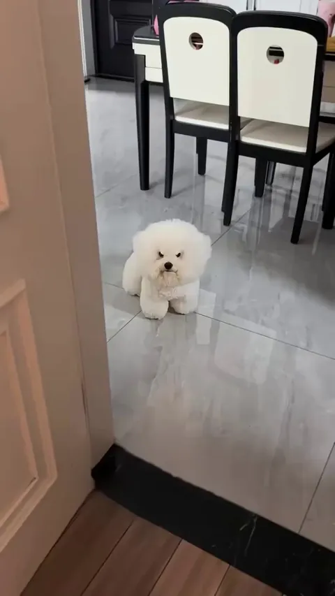 Where's my food, dude