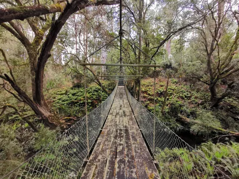 In every country I visit, the aim is to find a great bridge. Australia offered me this in the McKenzie River Rainforest, VIC.
