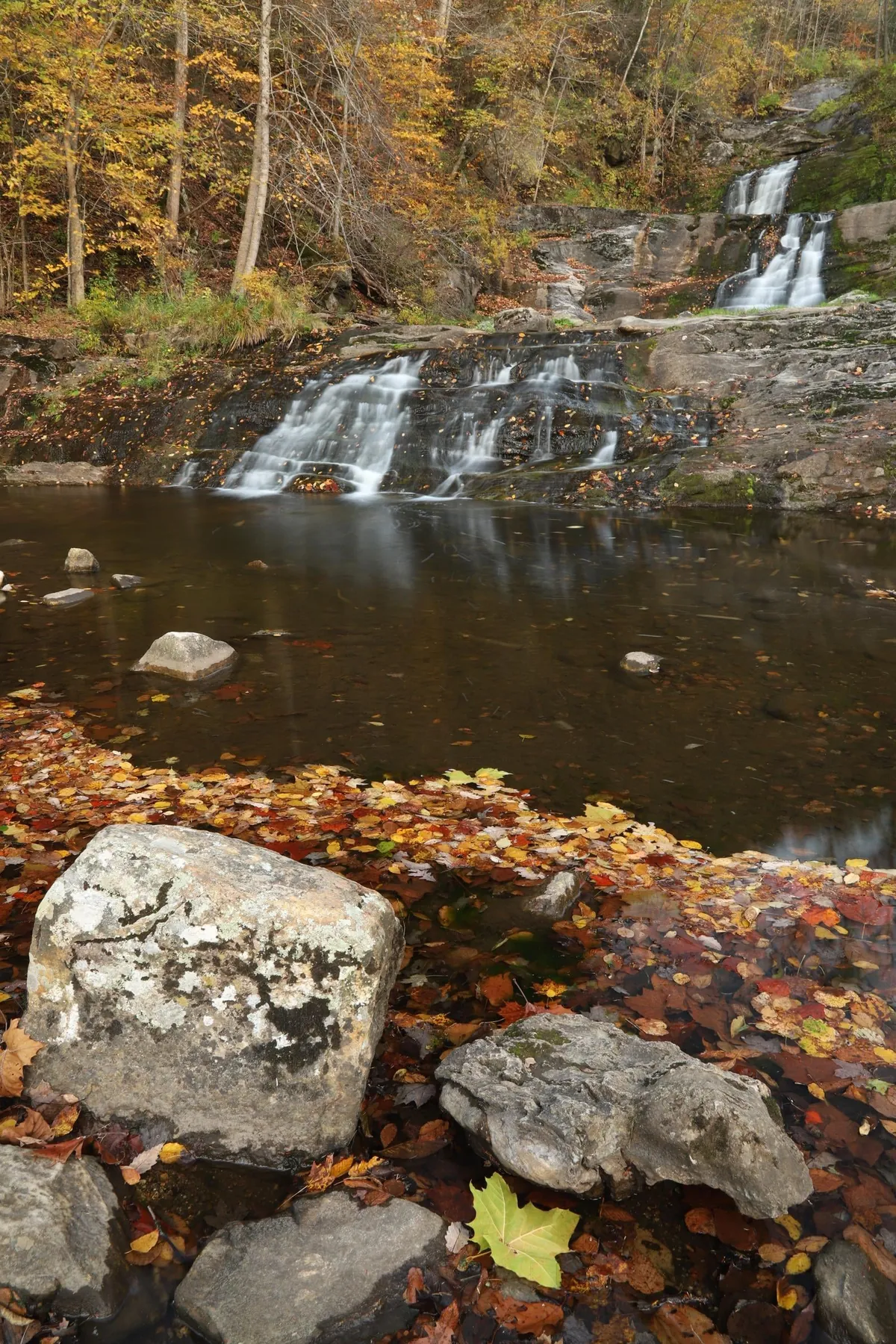 Late Fall in Connecticut