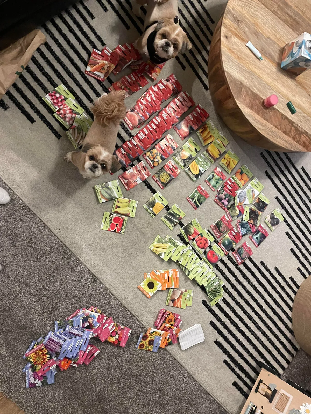 When seeds are on sale for 25¢…