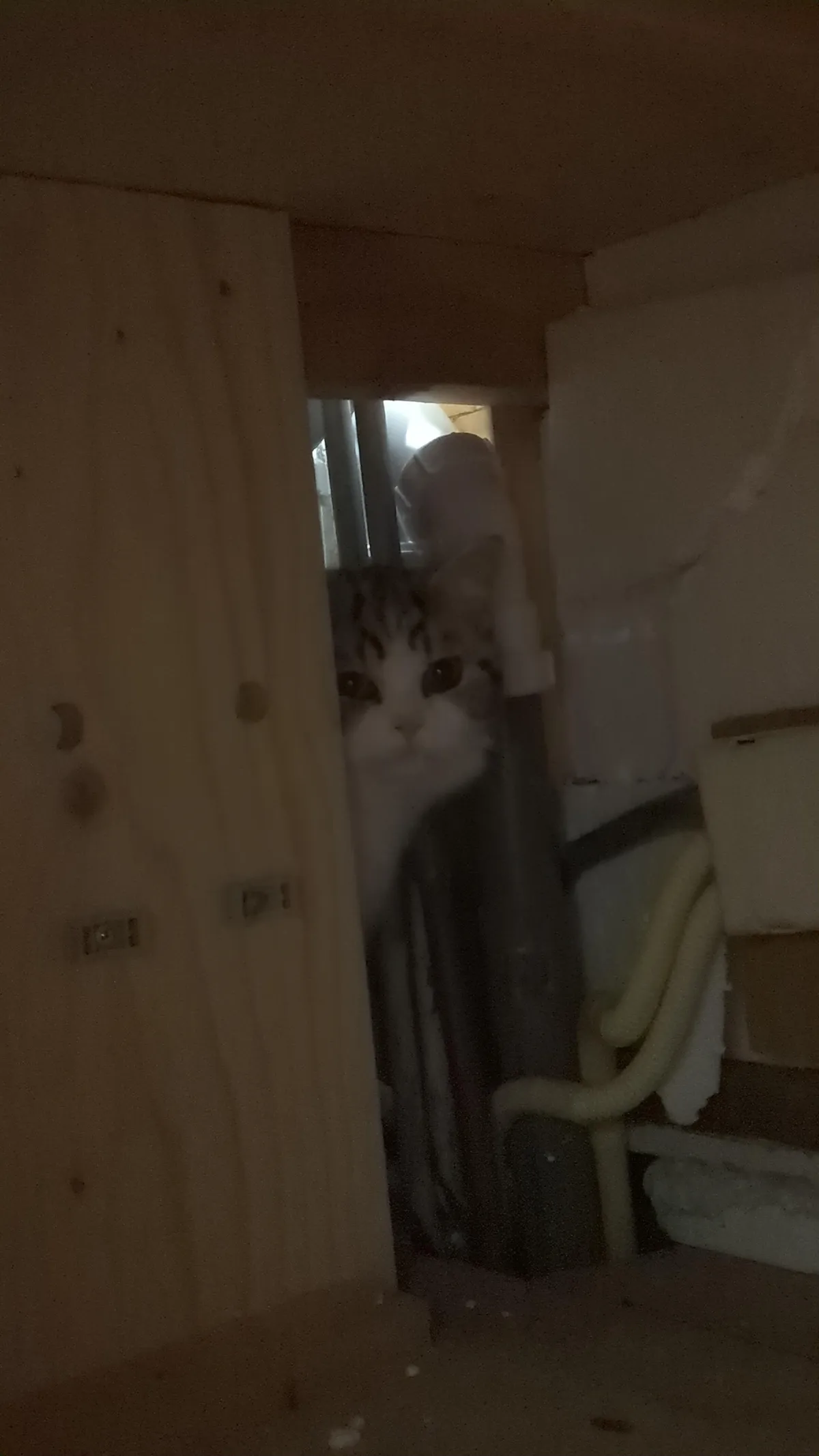 After searching for 5 hours I found him in the freaking walls