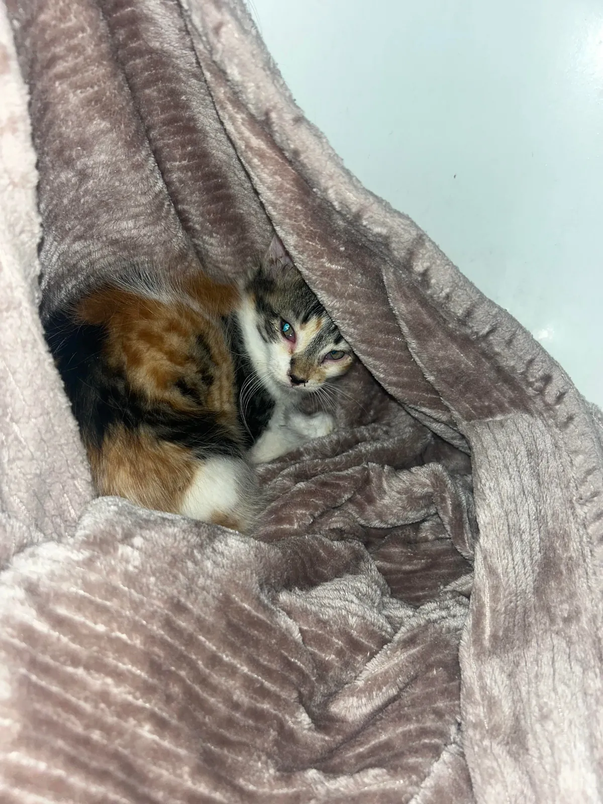 The CDS got me at a Jiffy Lube