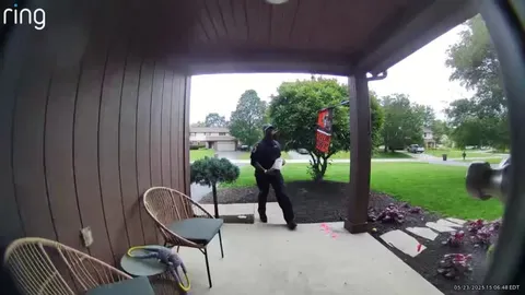 That dog can open the door ???