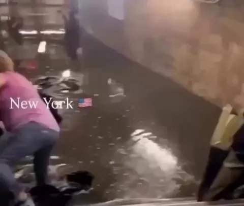 Comparing USA and Japan floodwater cleanliness in Subways