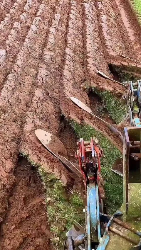 the way the plow blades are cutting into the soil and turning it over to prepare the field for planting.