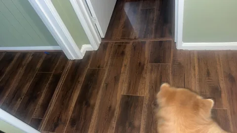 Thoughts on my new flooring? Am I being pedantic or is it an eye sore